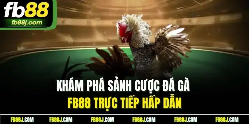 Khám phá sảnh cược đá gà FB88 trực tiếp hấp dẫn
