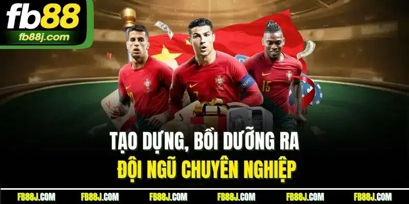 Tạo dựng, bồi dưỡng ra đội ngũ chuyên nghiệp